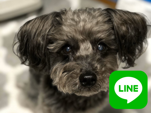 LINEと電話で問合せ